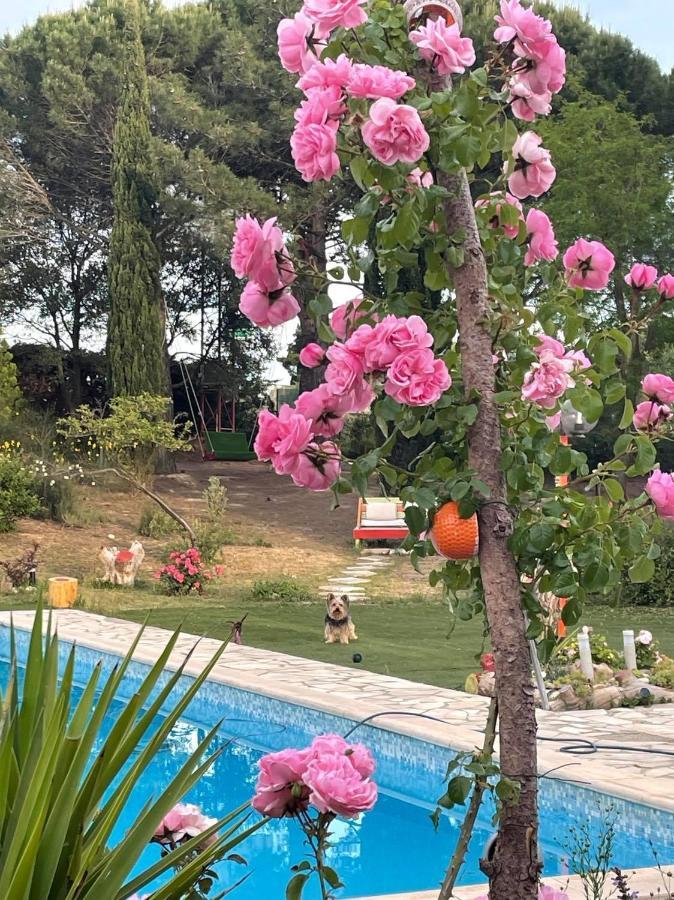 Bel Hotel Restaurant La Gentilhommiere Trèbes Kültér fotó