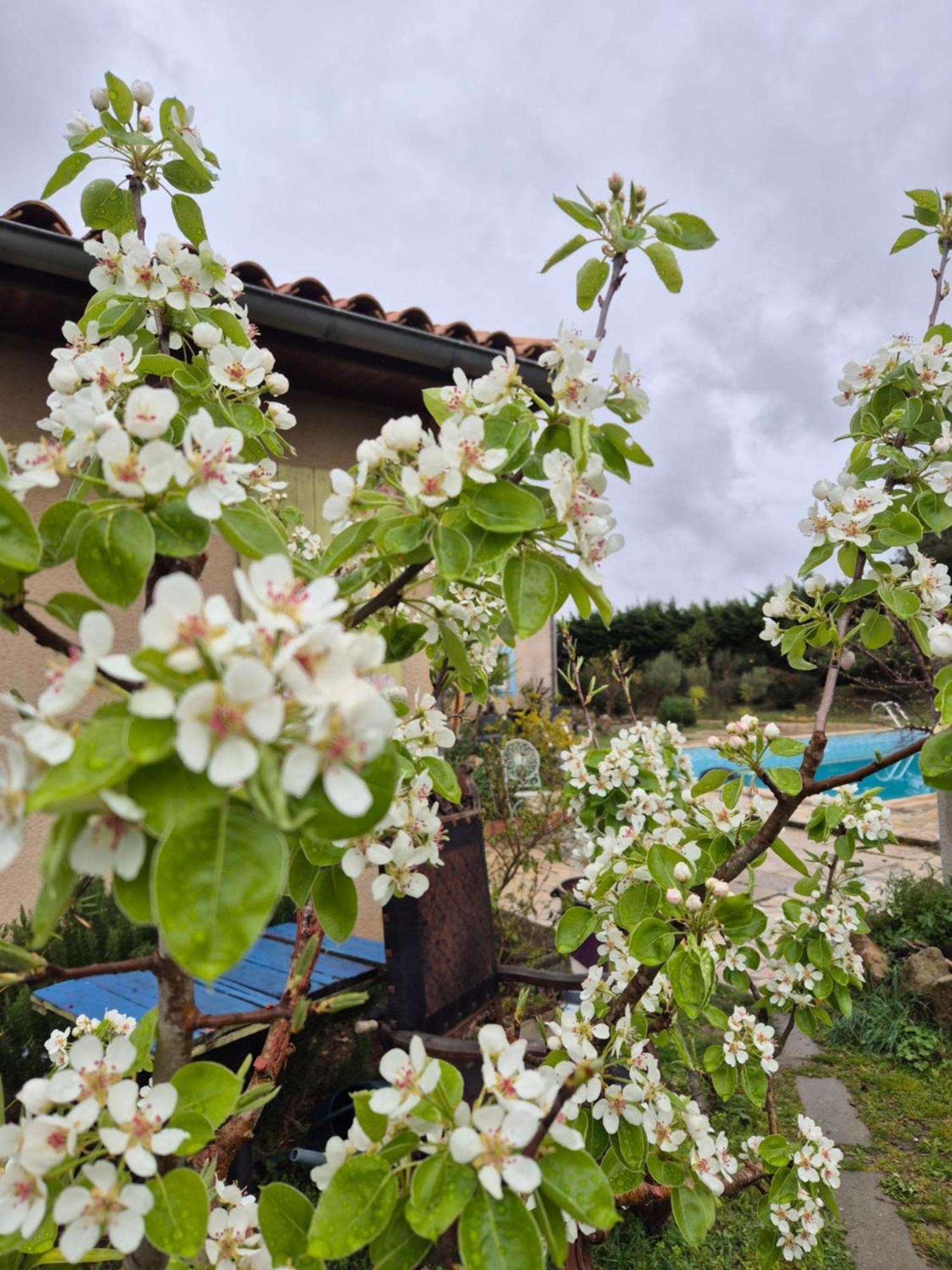 Bel Hotel Restaurant La Gentilhommiere Trèbes Kültér fotó